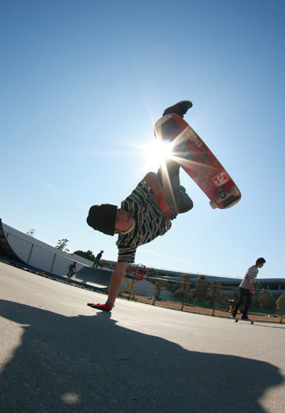 �J���m�T�g�V�@�t���[�X�^�C���X�P�{�[