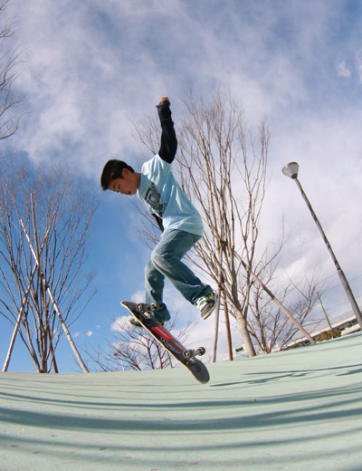 �V�I���@�t���[�X�^�C���X�P�{�[