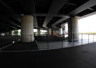 �V���l ���� �X�P�{�[ �L��